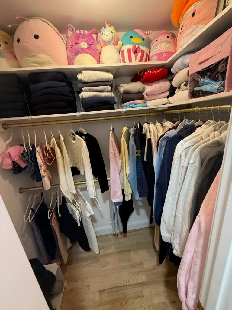Closet Storage Installation in Rye — custom closet design